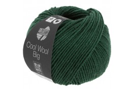 Cool Wool Big 1625 donkergroen